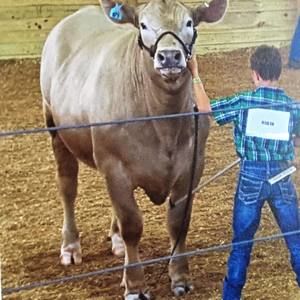 Meet your Posher, Dustin